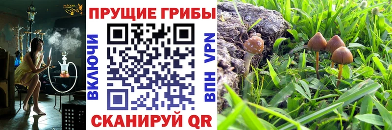 Купить где Соликамск Галлюциногенные грибы Cubensis